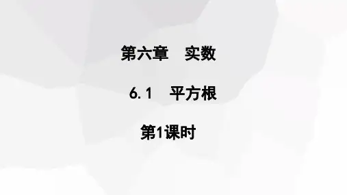 平方根第1课时课件人教版七年级数学下册