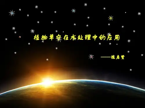提取物单宁(陈启贤102251001028)