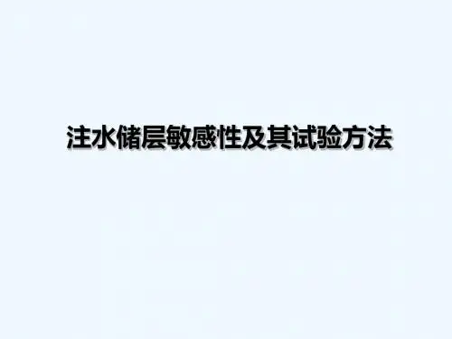 08专题三注水储层敏感性及其试验方法
