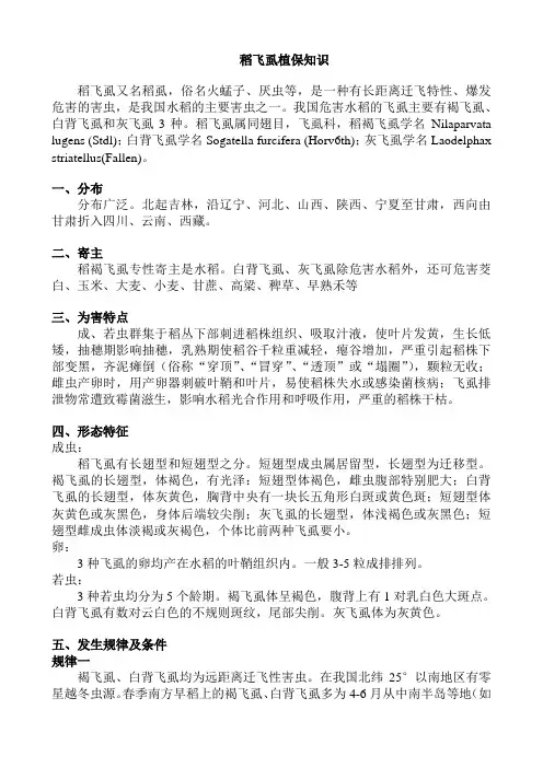 水稻飞虱