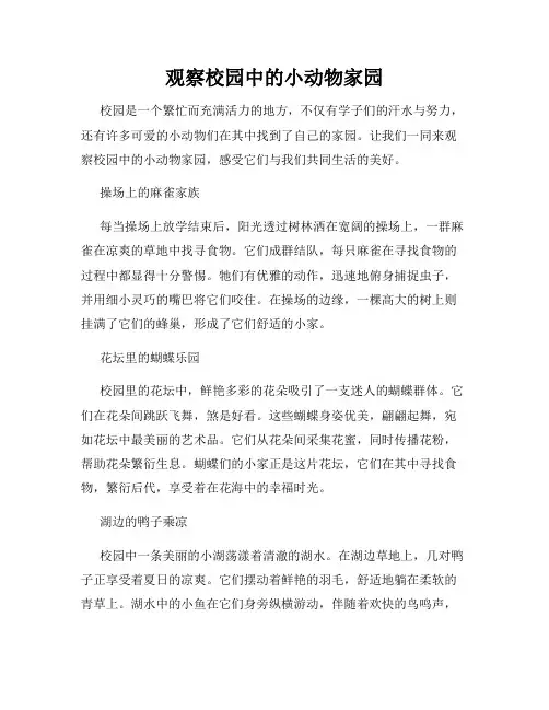 观察校园中的小动物家园