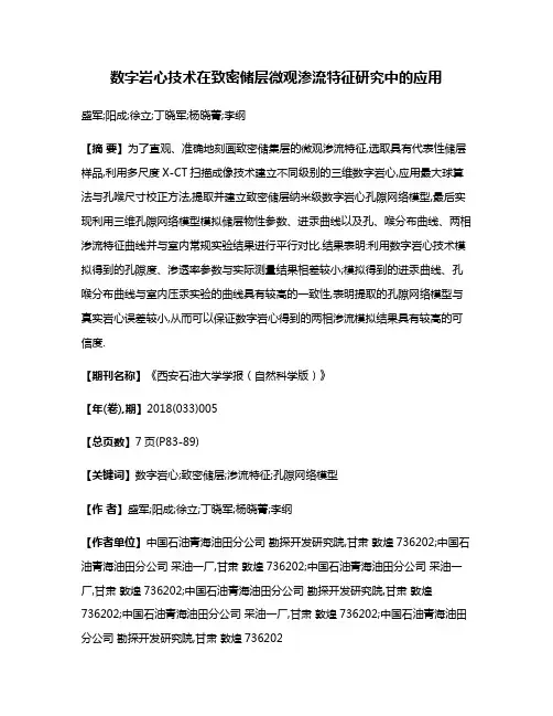 数字岩心技术在致密储层微观渗流特征研究中的应用