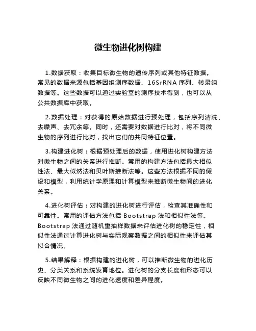 微生物进化树构建