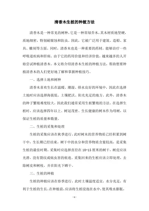 清香木生桩的种植方法