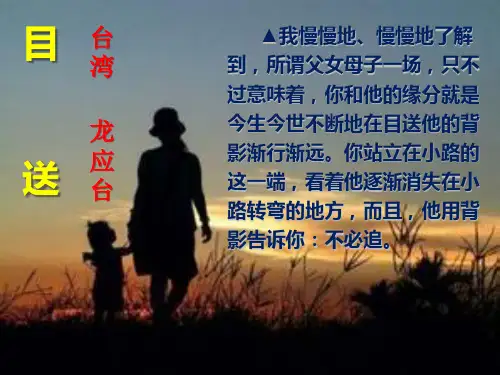 美文欣赏《目送》PPT
