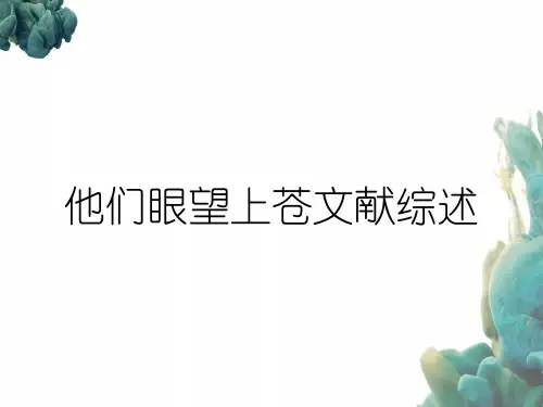 他们眼望上苍文献综述