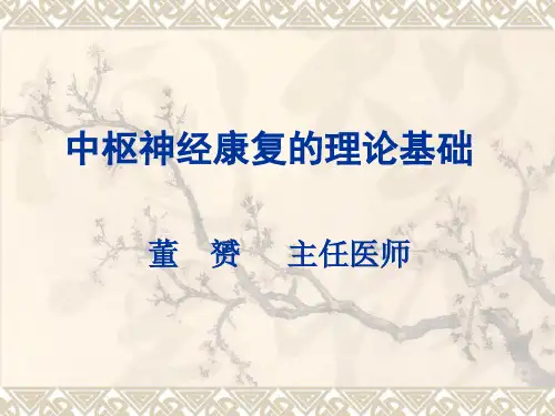中枢神经康复的理论基础共43页PPT资料