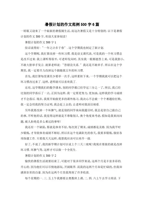 暑假计划的作文范例500字6篇