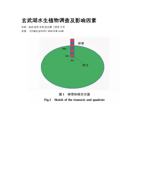 玄武湖水生植物调查及影响因素