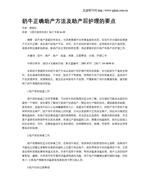 奶牛正确助产方法及助产后护理的要点