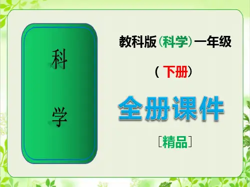 最新教科版一年级科学下册全册全套课件