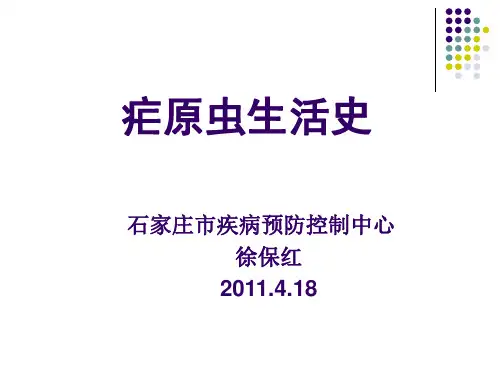 疟原虫生活史