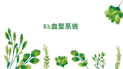 Rh血型系统