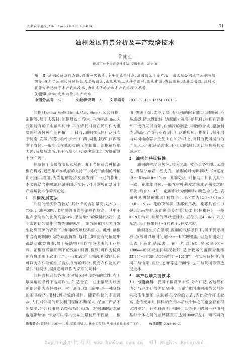 油桐发展前景分析及丰产栽培技术 