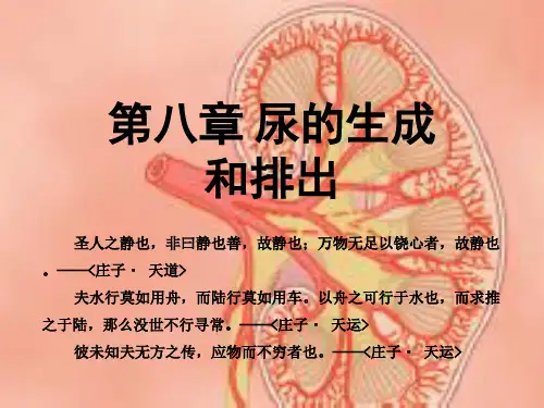 生理学2017版 第08章尿的生成与排出 临床医学 人卫第八版ppt课件