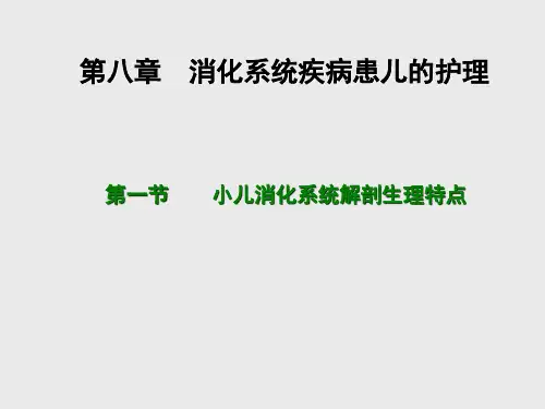 第8章   小儿消化系统解剖生理特点