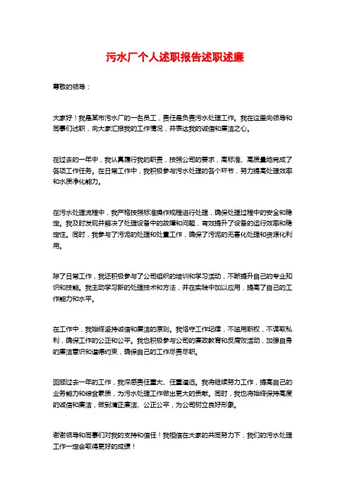 污水厂个人述职报告述职述廉