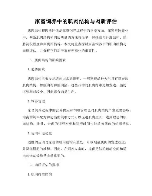 家畜饲养中的肌肉结构与肉质评估