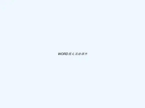 WORD图文混排课件 PPT