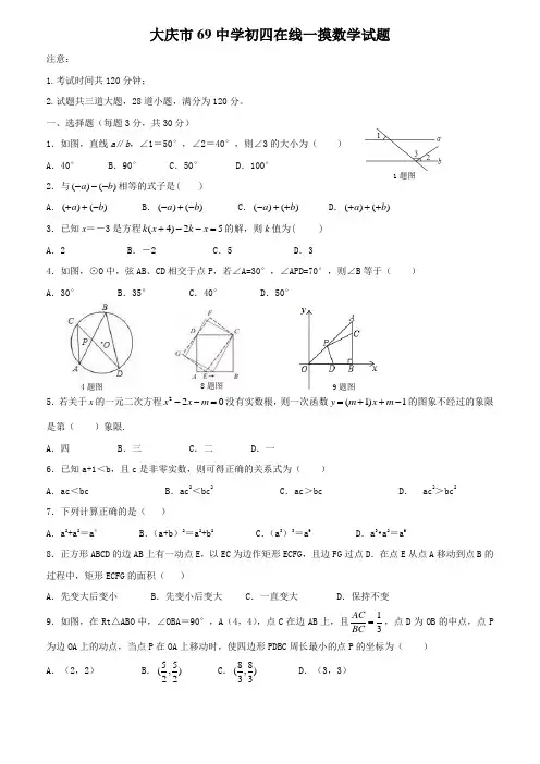 大庆市69中学初四在线一摸数学试题附答案