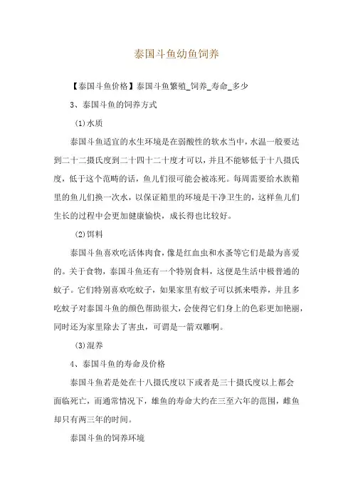 泰国斗鱼幼鱼饲养