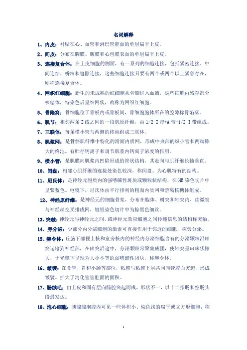 系统解剖学考试重点(统招名词、简答、论述)