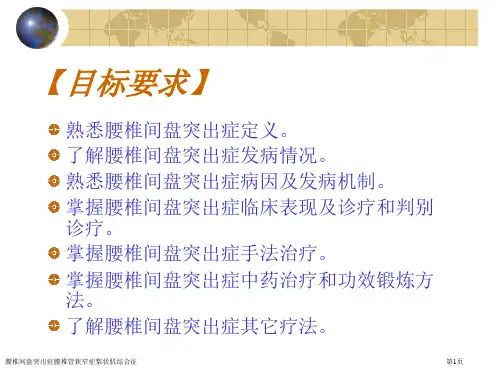 腰椎间盘突出症腰椎管狭窄症梨状肌综合征