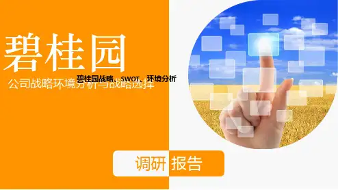 碧桂园战略、SWOT、环境分析ppt课件