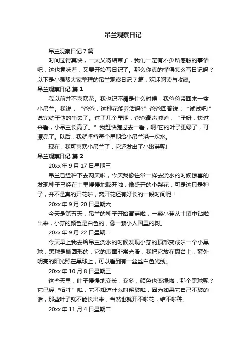 吊兰观察日记7篇
