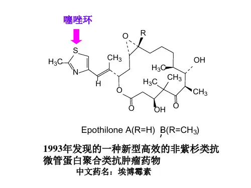 第十四章杂环化合物与维生素