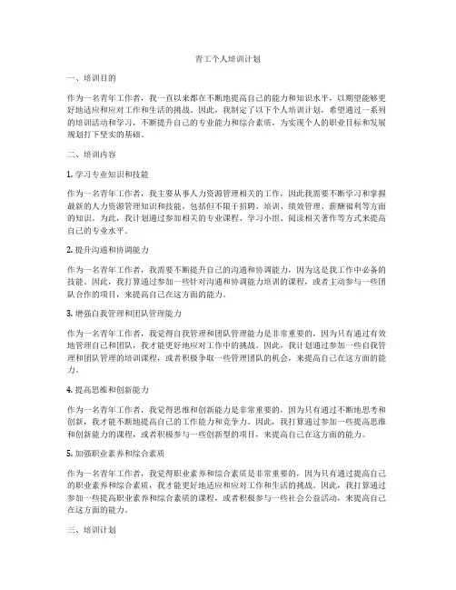 青工个人培训计划
