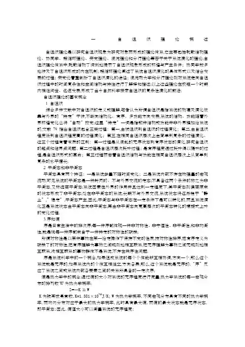 自组织理论概述