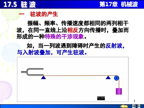 大学物理,机械波17-05 驻波
