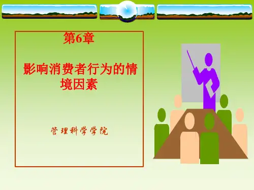 影响消费者行为的情境因素PPT课件