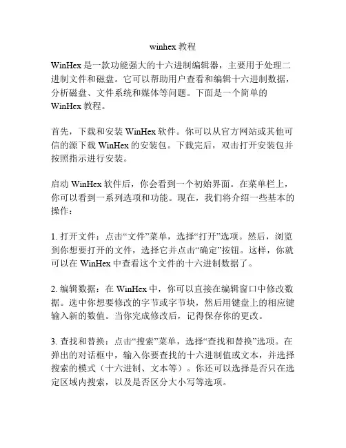 winhex教程