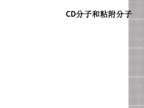 CD分子和粘附分子
