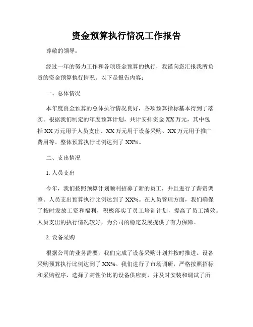 资金预算执行情况工作报告