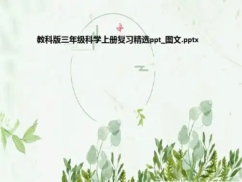 教科版三年级科学上册复习精选ppt_图文