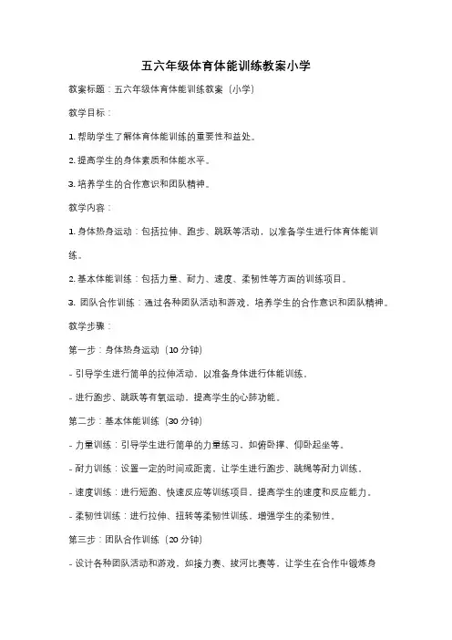 五六年级体育体能训练教案小学
