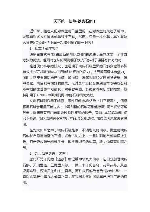 天下第一仙草-铁皮石斛！