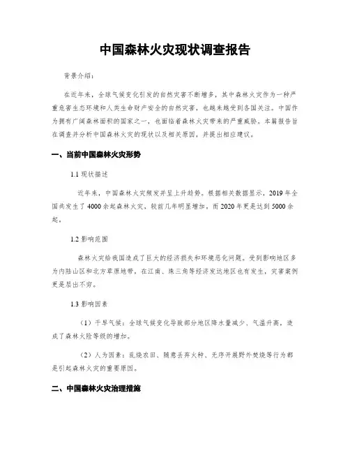 中国森林火灾现状调查报告