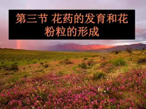 花药的发育和花粉粒的形成ppt课件