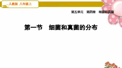 人教版八年级生物上册4.1 细菌和真菌的分布