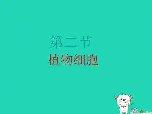 人教版2.1.2《植物细胞》课件(27张ppt)