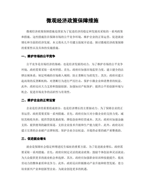 微观经济政策保障措施