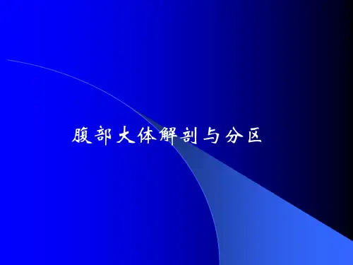 腹部大体解剖与分区