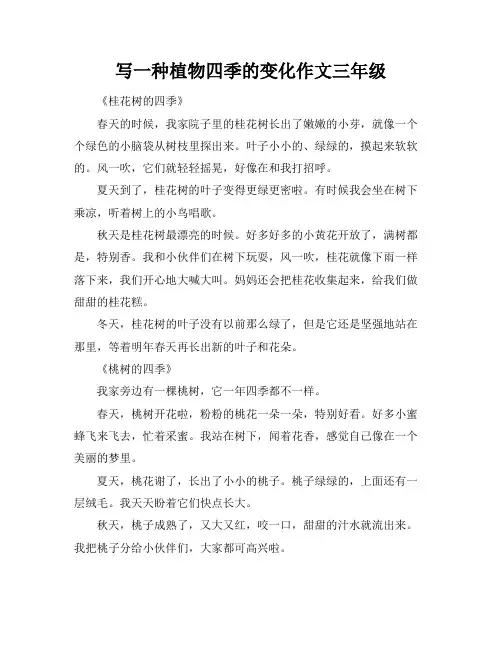 写一种植物四季的变化作文三年级