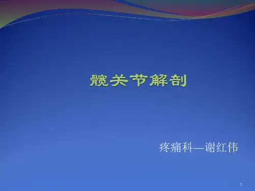 (参考课件)髋关节解剖