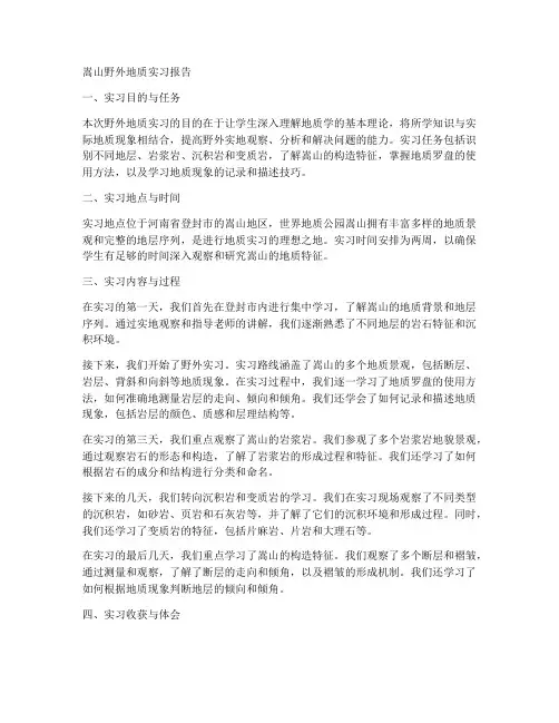嵩山野外地质实习报告