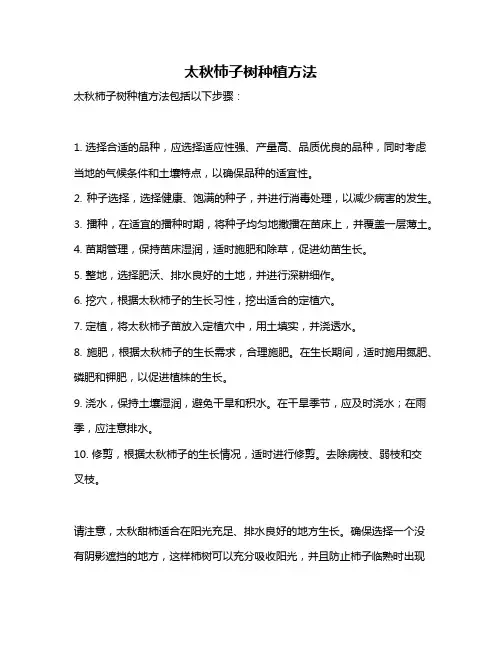 太秋柿子树种植方法